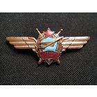 Нагрудный знак классной квалификации " Лётчик снайпер СССР ".