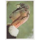 Календарик 1991 Зоопарк Харьков