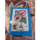 Календарик,марка,1991