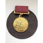 За успехи в народном хоз-ве ВДНХ малая бронзовая