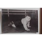 Фото в коллекцию