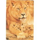 Календарик Союз филателистов России 1992-93