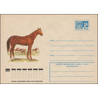 Художественный маркированный конверт СССР N 12072 (18.05.1977) Лошадь буденновской породы