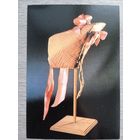 Шляпки. Муниципальный музей Hotel Sully, Франция. Издание Франции