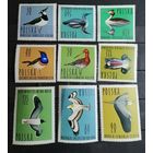 Польша 1964 птицы