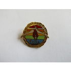 Значок. Знак. "26-й Чемпионат мира по спортивной гимнастике". "США". "Индиана". "Спорт". "Гимнастика". "Олимпиада". 1991. м