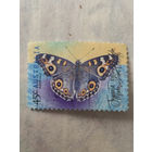 Австралия 1998. Бабочки. Meadow Argus