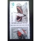 1992 Израиль 1248 Певчие птицы фауна **
