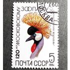 Марка СССР 1984 гол 120 лет Московскому зоопарку