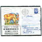 Беларусь. НМК. Конверт п.п. Провизорий. Гриб лисичка. Гашение Свислочь 1993