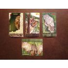 Румыния 2013 г.Ночные хищные птицы./1б/