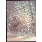 1988 год А.Исаков С Новым Годом! 18