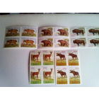 Беларусь 1996 квартблоки серия звери