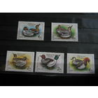 Марки - фауна, птицы. утки, Венгрия, чистые