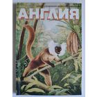 Журнал Англия 116