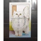 Республика Гвинея. 1995 год. Фауна. Кошки. Блок (763)