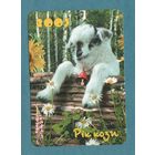 Календарик-2003.