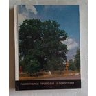 Памятники природы Белоруссии В. М. Бельков. 1986