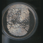 РБ. 1 рубль. Грюнвальд. 2010.