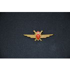 Знак ,которого ни у кого нет! Позолоченная латунь 1950-1958 для офицеров ВВС Болгарии! Сколько их было? Только вчера со склада.