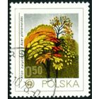 Охрана природы. Деревья Польша 1978 год 1 марка
