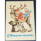 Четвериков. 1981