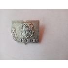 ЗНАЧОК А.ПУШКИН (2)