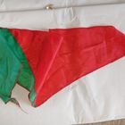 Галстук белорусский пионер