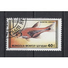 Монголия.1987.Рыбы (1 марка)