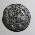 Боратинка фальш 16