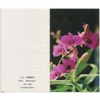 Южная Корея. Открытка С Новым Годом 1994