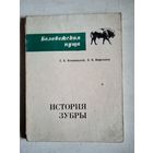 История зубры