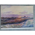 1954. Мучник. В открытом море