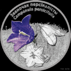 20 рублей 2014 Колокольчик персиколистный, серебро 999, эмаль.
