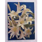 Открытка из СССР 1988г, подписанная.