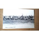 Казаки (Казачий экспедиционный корпус во Франции) 1904 г.