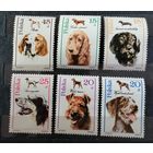 Польша 1989 собаки