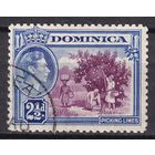22.BrKCI. Великобритания. Колонии. Доминика. Местные мотивы. Георг VI. 1942 г. 2 1/2P. Mi.#97b.