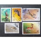 Марки СССР 1985 год Животные Красной книги