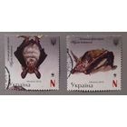 Летучие мыши. Украина, 2016