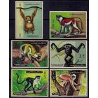 1973 Аджман 2925-2930b Фауна - Обезьяны 6,00 евро