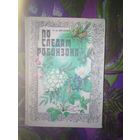 Верзилин, По следам Робинзона