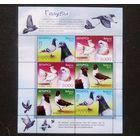 Беларусь 2011 Голуби