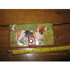 Кошелек СССР