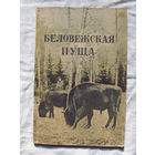 25-14 П. Осадчий В. Баврин Беловежская пуща Минск 1950