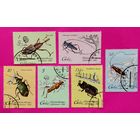 Куба. Жуки. ( 6 марок ) 1980 года. 4-5.