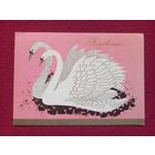 Поздравляем! ИЗО Чистая.