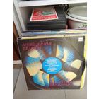 Виниловая пластинка