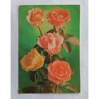 Открытка из СССР 1982г, подписанная.