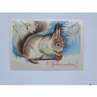 Достян   с новым годом 1980   10х15 см